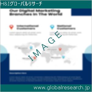 グローバルリサーチ調査レポートのイメージ